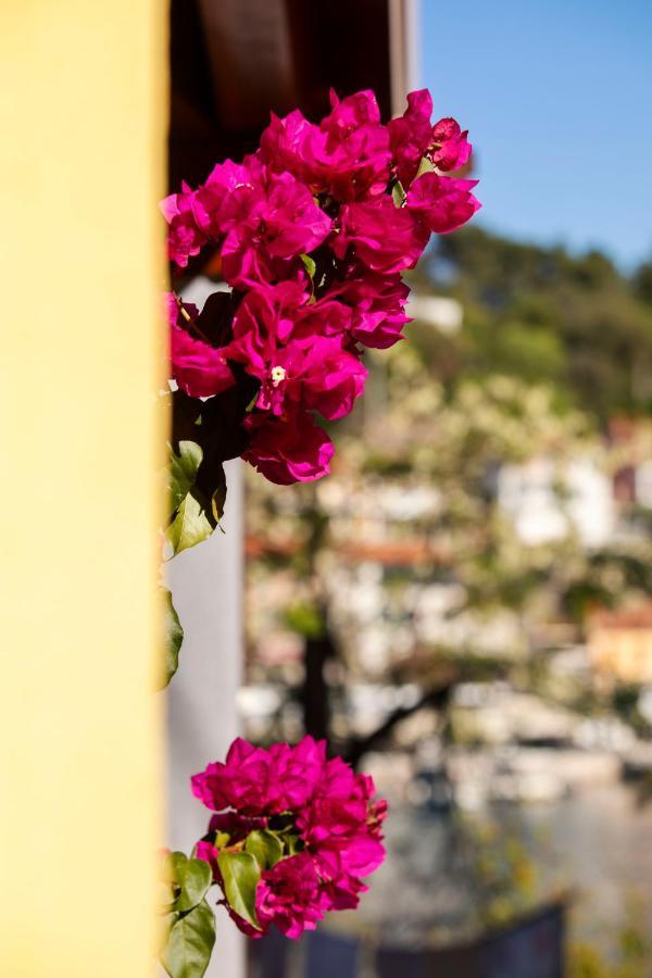 Villa Casa Santo e Albina Rabac Esterno foto